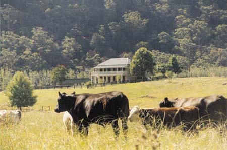 Queen Victoria Inn nestled in the bueatiful Macdonald Valley