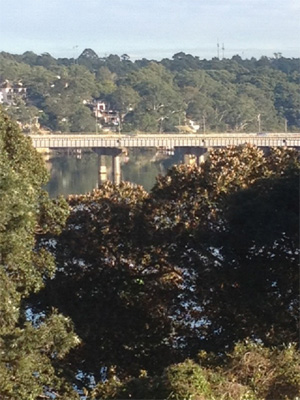 Fig Tree Bridge